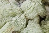 Green, Bladed Prehnite Crystals with Quartz - Morocco #292272-1